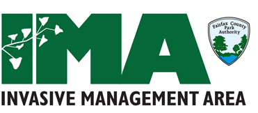 IMA